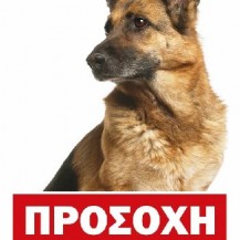 Πινακίδες    Σκύλων