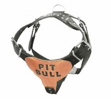 Επιστήθιο    σκύλου       δερμάτινο 'PIT BULL', Medium - Κωδικος : 07.98.013