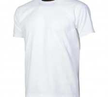  T-shirt Βαμβακερό FOL® 61-036 Λευκό 3XL-4XL-5XL Κωδικός 127119