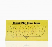 948 Giant Fly Glue Trap